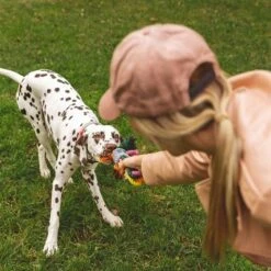 Cuerdas Varias Nomad Tales Spirit Multirope Juguete Para Perros -Ofertas Mascotas Tienda 333098 nomad tales spirit multirope hs 05 3