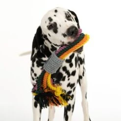 Cuerdas Varias Nomad Tales Spirit Multirope Juguete Para Perros -Ofertas Mascotas Tienda 333098 spirit multirope fg 0527 1