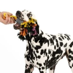 Cuerdas Varias Nomad Tales Spirit Multirope Juguete Para Perros -Ofertas Mascotas Tienda 333098 spirit multirope fg 0536 2