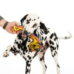 Cuerdas Varias Nomad Tales Spirit Multirope Juguete Para Perros -Ofertas Mascotas Tienda 333098 spirit multirope fg 0537 5