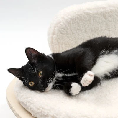 Sofá Osaka Modern Living Para Mascotas 5 Sofá Osaka Modern Living Para Mascotas - Imagen 5