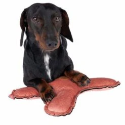 Blush Flying X Nomad Tales Juguete Para Perros -Ofertas Mascotas Tienda 344597 blush fying x fg 7914 4