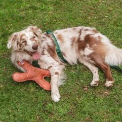 Blush Flying X Nomad Tales Juguete Para Perros -Ofertas Mascotas Tienda 344597 nomad tales blush flyingx hs 02 2