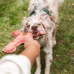 Blush Flying X Nomad Tales Juguete Para Perros -Ofertas Mascotas Tienda 344597 nomad tales blush flyingx hs 03 2