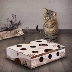 Canadian Cat Company MagicBox Juego De Inteligencia Para Gatos -Ofertas Mascotas Tienda 346599 canadiancat company intelligenzspielzeug magicbox hs 11 0