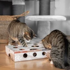 Canadian Cat Company MagicBox Juego De Inteligencia Para Gatos -Ofertas Mascotas Tienda 346599 canadiancat company intelligenzspielzeug magicbox hs 13 9