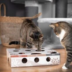 Canadian Cat Company MagicBox Juego De Inteligencia Para Gatos -Ofertas Mascotas Tienda 346599 canadiancat company intelligenzspielzeug magicbox hs 16 0