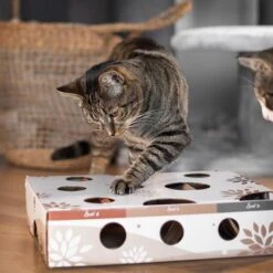 Canadian Cat Company MagicBox Juego De Inteligencia Para Gatos -Ofertas Mascotas Tienda 346599 canadiancat company intelligenzspielzeug magicbox hs 18 2