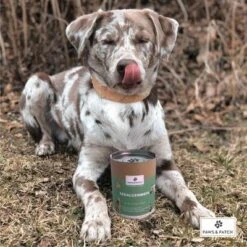 PAWS & PATCH Harina De Algas -Ofertas Mascotas Tienda 346896 paws patch seealgenmehl 250g hs 02 0