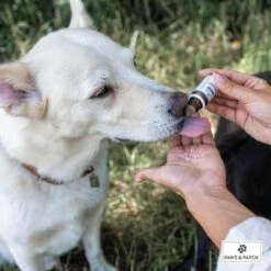 PAWS & PATCH Complemento Para La Ansiedad -Ofertas Mascotas Tienda 347097 paws patch angst unsicherheit hs 02 8