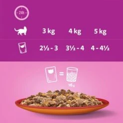 Whiskas Duo 48 X 85 G Pack Mixto En Bolsitas 9 Whiskas Duo 48 X 85 G Pack Mixto En Bolsitas -Ofertas Mascotas Tienda 355697 mars multipack whiskas duo portionsbeutel classiccombos gelee 48x85g hs 06 0