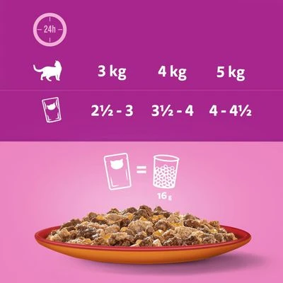 Whiskas Duo 48 X 85 G Pack Mixto En Bolsitas 3 Whiskas Duo 48 X 85 G Pack Mixto En Bolsitas - Imagen 3