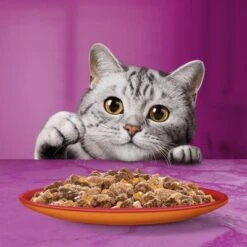 Whiskas Duo 48 X 85 G Pack Mixto En Bolsitas 10 Whiskas Duo 48 X 85 G Pack Mixto En Bolsitas -Ofertas Mascotas Tienda 355697 mars multipack whiskas duo portionsbeutel classiccombos gelee 48x85g hs 07 3