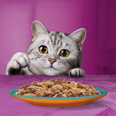 WHISKAS DUO Jumbopack 96 X 85 G En Bolsitas - Imagen 10