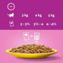 Megapack Whiskas 1+ Años 48 X 85 G En Bolsitas -Ofertas Mascotas Tienda 355701 megapack whiskas 1plus adult frischebeutel geflugel 48x85g hs 08 1