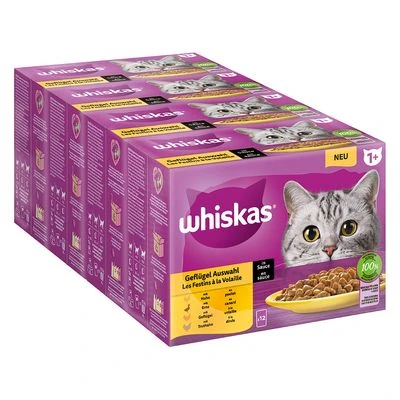 Megapack Whiskas 1+ Años 48 X 85 G En Bolsitas - Imagen 5
