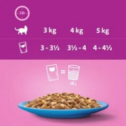 Megapack Whiskas 1+ Años 48 X 85 G En Bolsitas -Ofertas Mascotas Tienda 355896 megapack whiskas 1plus adult frischebeutel fishgele 48x85g hs 07 9