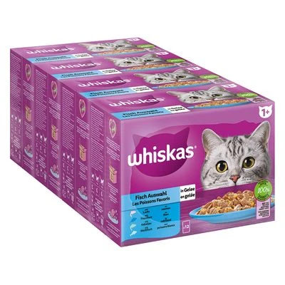 Megapack Whiskas 1+ Años 48 X 85 G En Bolsitas - Imagen 14