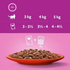 Megapack Whiskas 1+ Años 48 X 85 G En Bolsitas -Ofertas Mascotas Tienda 356097 megapack whiskas 1plus adult frischebeutel auswahlsausee 48x85g hs 10 5