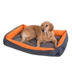 Cama Variabel Perros Y Gatos -Ofertas Mascotas Tienda 36344 outdoor orange hundebett 12 2012 05 dsc4484 0
