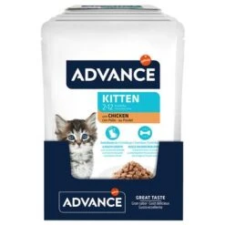Advance Kitten Con Pollo Comida Húmeda Para Gatos -Ofertas Mascotas Tienda 374500 advance kitten huhn 12x85g hs 02 7