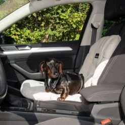 Asiento Para El Coche Nomad Tales Blush Para Perros, Beige -Ofertas Mascotas Tienda 376802 nt dog car seat fg 4824 8
