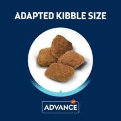 Advance Medium Senior Con Pollo Y Arroz 22 Advance Medium Senior Con Pollo Y Arroz -Ofertas Mascotas Tienda 397796 affinity advance medium senior hs 04 2