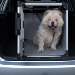 Jaula De Transporte Trixie De Aluminio -Ofertas Mascotas Tienda 42815 trixie transportbox alu fg 3618 0