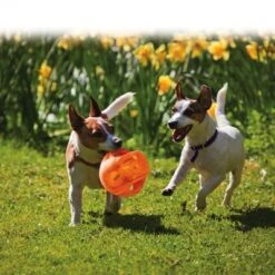 KONG Jumbler Pelota Para Perros -Ofertas Mascotas Tienda 439783 kong jumbler im einsatz 1