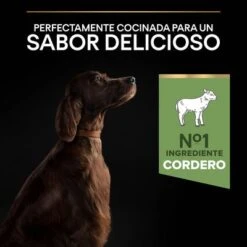 PURINA PRO PLAN Large Adult Athletic Sensitive Digestion Cordero Y Arroz -Ofertas Mascotas Tienda 44142537 es es 221230 1 3