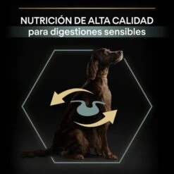 PURINA PRO PLAN Large Adult Athletic Sensitive Digestion Cordero Y Arroz -Ofertas Mascotas Tienda 44142537 es es 221230 1 3 2
