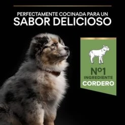 Purina Pro Plan Medium Puppy Sensitive Digestion Cordero Y Arroz 16 Purina Pro Plan Medium Puppy Sensitive Digestion Cordero Y Arroz -Ofertas Mascotas Tienda 44142631 es es 221230 1 6