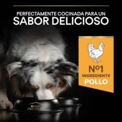 Purina Pro Plan All Sizes Adult Light Sterilised Pollo 17 Purina Pro Plan All Sizes Adult Light Sterilised Pollo -Ofertas Mascotas Tienda 44142699 es es 221230 1 1