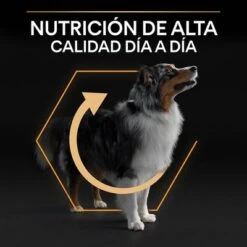 PURINA PRO PLAN Medium Adult Everyday Nutrition -Ofertas Mascotas Tienda 44142699 es es 221230 1 3 9