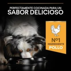 PURINA PRO PLAN Medium Adult Everyday Nutrition -Ofertas Mascotas Tienda 44142699 es es 221230 1 5