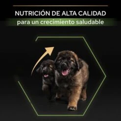 PURINA PRO PLAN Large Robust Puppy Healthy Start 12 PURINA PRO PLAN Large Robust Puppy Healthy Start -Ofertas Mascotas Tienda 44142748 es es 221230 1 1 7