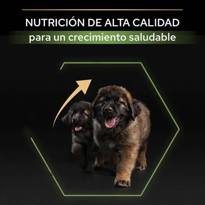 PURINA PRO PLAN Large Robust Puppy Healthy Start 4 PURINA PRO PLAN Large Robust Puppy Healthy Start - Imagen 4