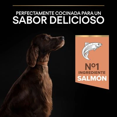 Purina Pro Plan Large Athletic Adult Sensitive Skin Salmón 7 Purina Pro Plan Large Athletic Adult Sensitive Skin Salmón - Imagen 7