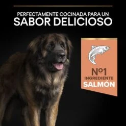 PURINA PRO PLAN Large Robust Adult Sensitive Skin Salmón 15 PURINA PRO PLAN Large Robust Adult Sensitive Skin Salmón -Ofertas Mascotas Tienda 44152235 es es 221230 1 1 2
