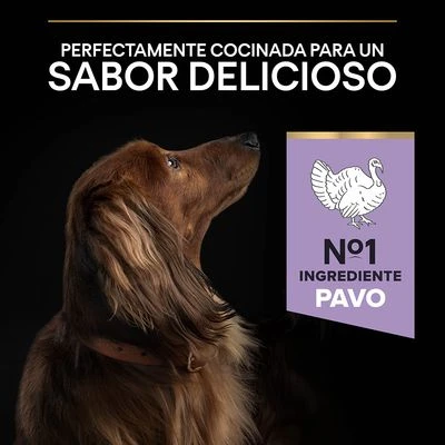 PURINA PRO PLAN Small & Mini Adult Sensitive Digestion Sin Cereales 6 PURINA PRO PLAN Small & Mini Adult Sensitive Digestion Sin Cereales - Imagen 6