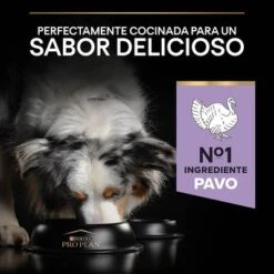 PURINA PRO PLAN Medium & Large Adult Sensitive Digestion Sin Cereales -Ofertas Mascotas Tienda 44161695 es es 221230 1 6