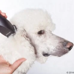 Máquina Cortapelo Moser Max50 -Ofertas Mascotas Tienda 465281 schermaschine moser max 50 05 4