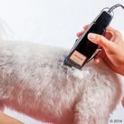 Máquina Cortapelo Moser 1400 -Ofertas Mascotas Tienda 465374 schermaschine moser 1400 03 3