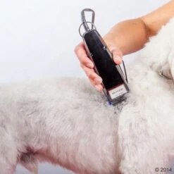 Máquina Cortapelo Moser 1400 -Ofertas Mascotas Tienda 465374 schermaschine moser 1400 04 2