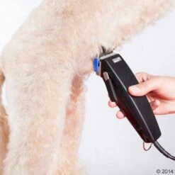 Máquina Cortapelo Moser Rex -Ofertas Mascotas Tienda 465375 schermaschine moser rex 02 5