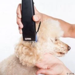 Máquina Cortapelo Moser Rex -Ofertas Mascotas Tienda 465375 schermaschine moser rex 03 5