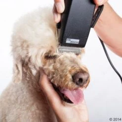 Máquina Cortapelo Moser Rex -Ofertas Mascotas Tienda 465375 schermaschine moser rex 04 0