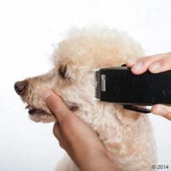 Máquina Cortapelo Moser Rex -Ofertas Mascotas Tienda 465375 schermaschine moser rex 05 2