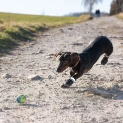 Zapatos Para Perros S & P Boots 16 Zapatos Para Perros S & P Boots -Ofertas Mascotas Tienda 52149 hundeschuhe xs fg 0967 9