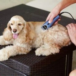 Set Máquina Cortapelo Para Mascotas Oster 220 V -Ofertas Mascotas Tienda 53731 osterheimtierschermaschinen hs 12 3